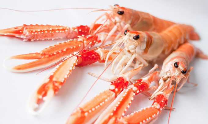 venta de mariscos en oiartzun, gipuzkoa